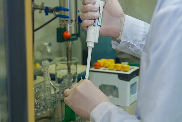 探究氣體催化劑RP-208對聚氨酯發泡與凝膠反應的平衡調控作用